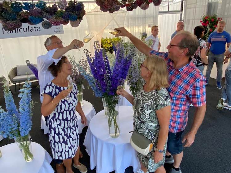 GroenVandaag's tweet photo. Kwekerij De Widel en veredelingsbedrijf @AgriomBreeding doopten 2 nieuwe Dewi-#delphiniums. 
Dewi Purple Smile heeft lange stelen, goedgevulde aren en grote, dieppaarse bloemen met donker hart.
Dewi Violet Smile heeft aan de donkergetinte bloemstelen violet/lila bloemen. https://t.co/59g5K9OdNF
