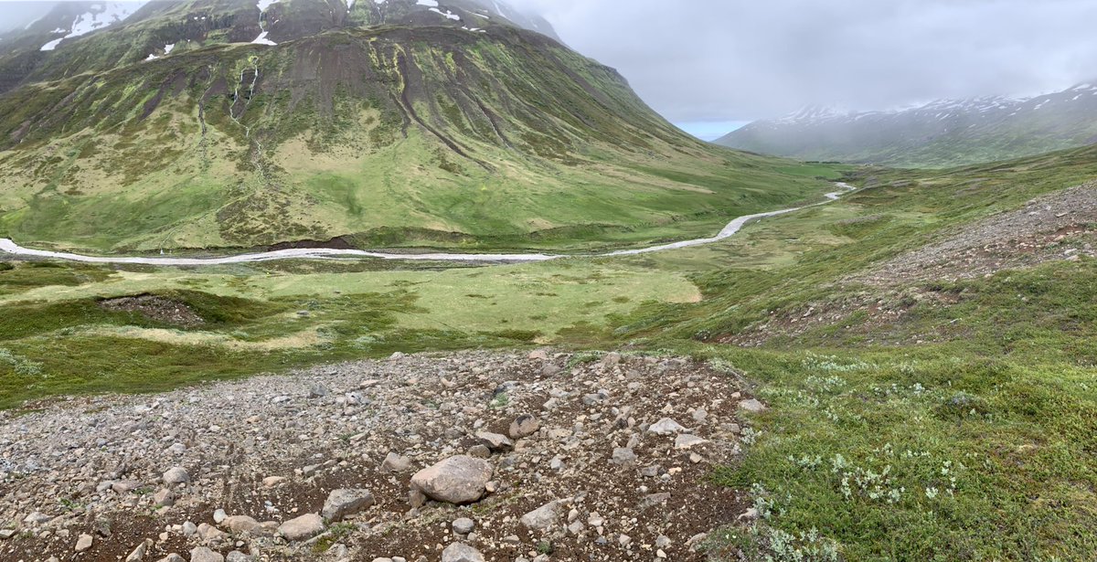 Today’s sheiling … in the land of Kóngsstaðir.