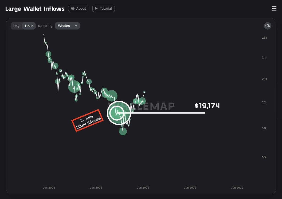 New whale level has formed over the weekend's dump.

The accumulation is quite large, >100k BTC, and happened on the 18th of June. 

Prior to that, a large portion of Dec 2018 Bitcoins have moved from the previous 4k bottom... Could be OTC

Looks like a great short-term support