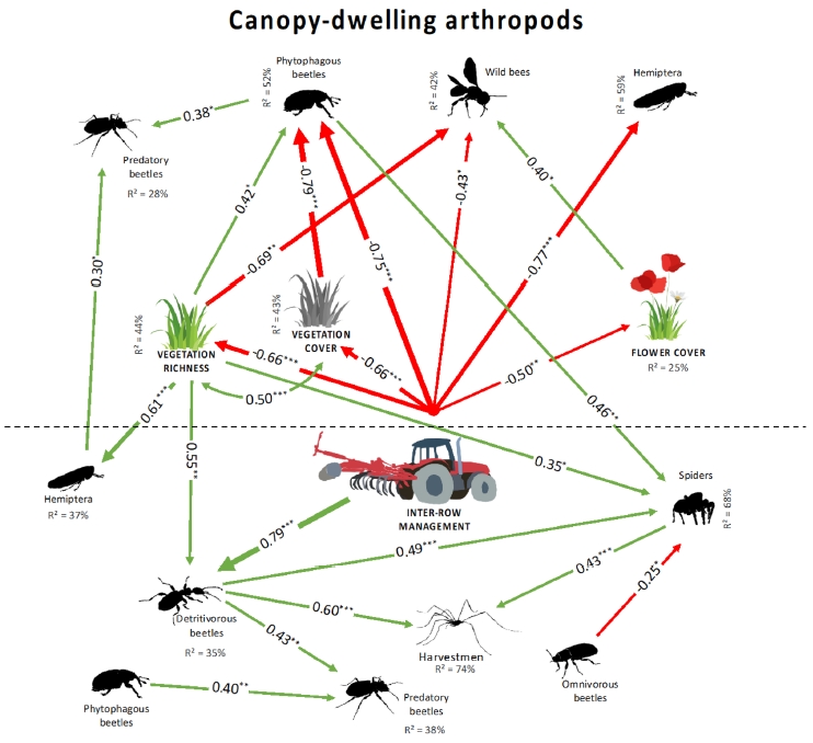 imbe_ppm's tweet photo. 📬 New paper of Chloé Blaise @imbe_ppm that examines effects of #vegetation cover and #soil management on the abundance of arthropods in #Mediterranean #vineyard

To read in Scientific Reports:
https://t.co/M9ldvaJ2Un https://t.co/7UU9kjalHQ