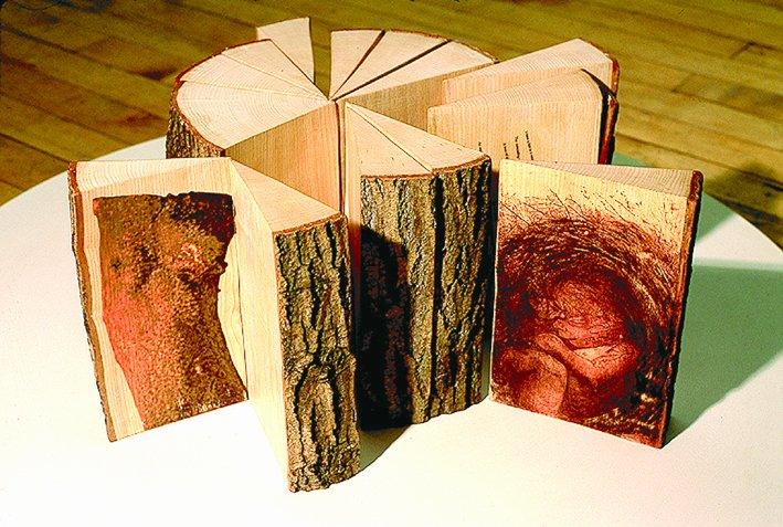 Blue Egg Gallery tweet media