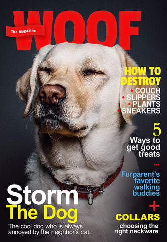 Marufislam06's tweet photo. This is your chance to get one of these unique dog magazine covers, featuring your dog.
#dogframe #dog #dogphoto #dogoffer #dogportrait #dogcanvas
https://t.co/0Cys87d6pL https://t.co/6wMUWm5uNW
