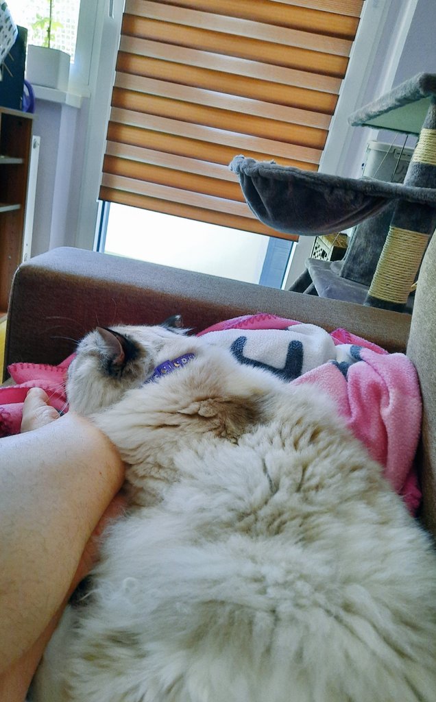 softsoftellie's tweet photo. I ♥️ my dades feeat https://t.co/omrf6L99Nf