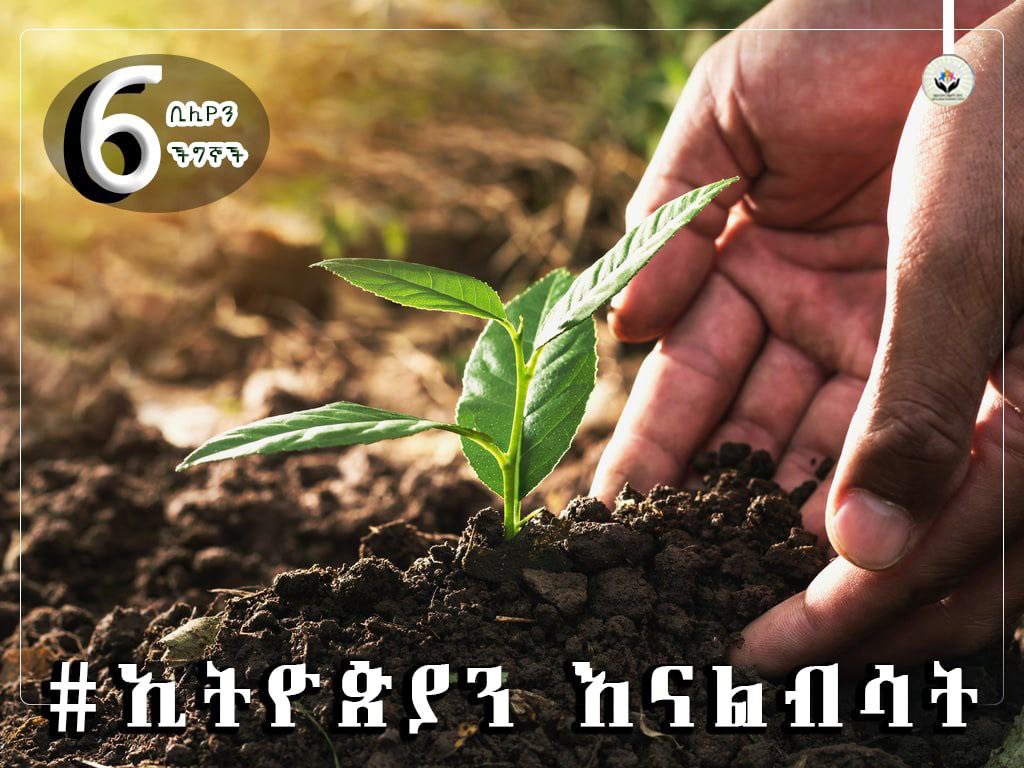 eyasu0111's tweet photo. @FetiyaMohammed_ https://t.co/R1MzSR39al