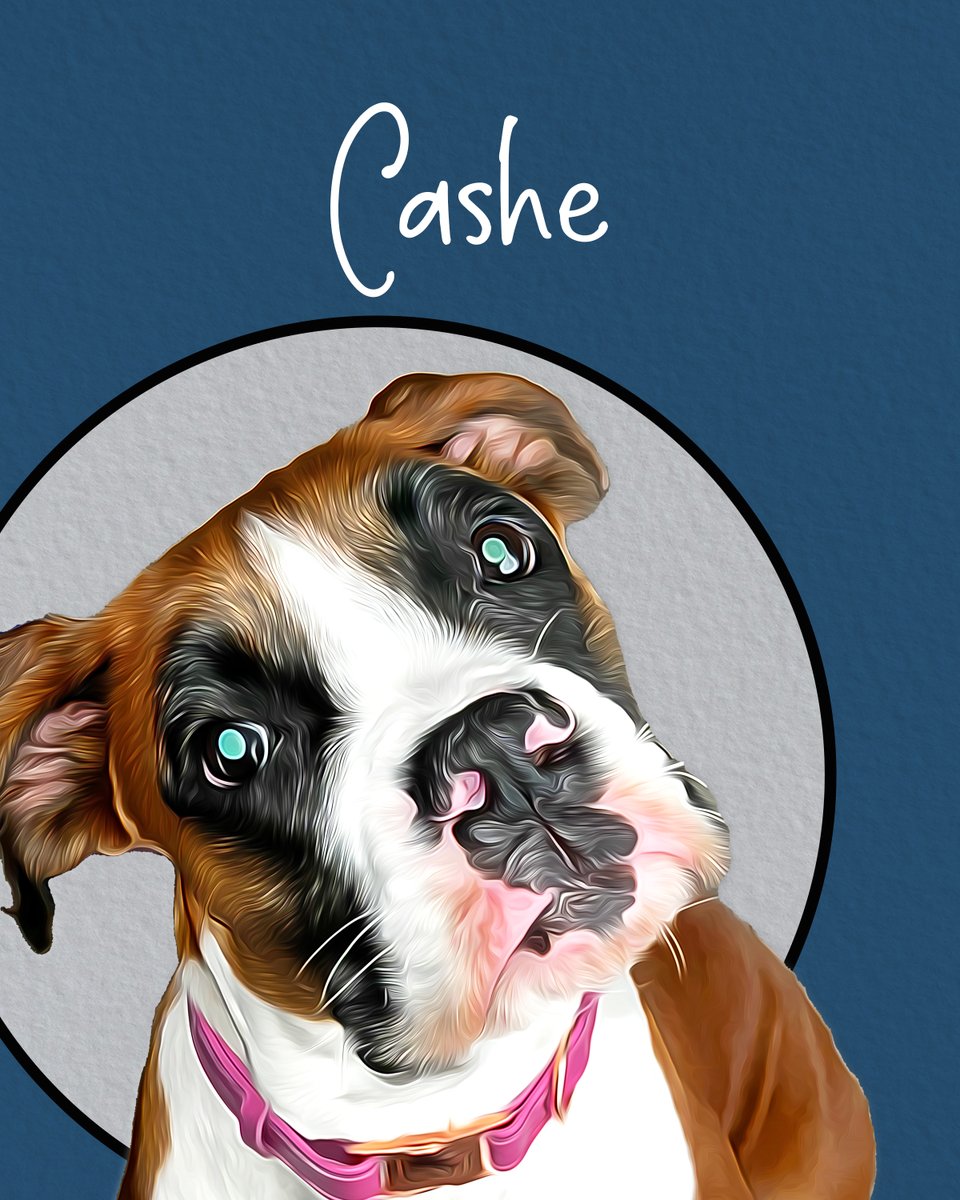Cashe 
Before // After