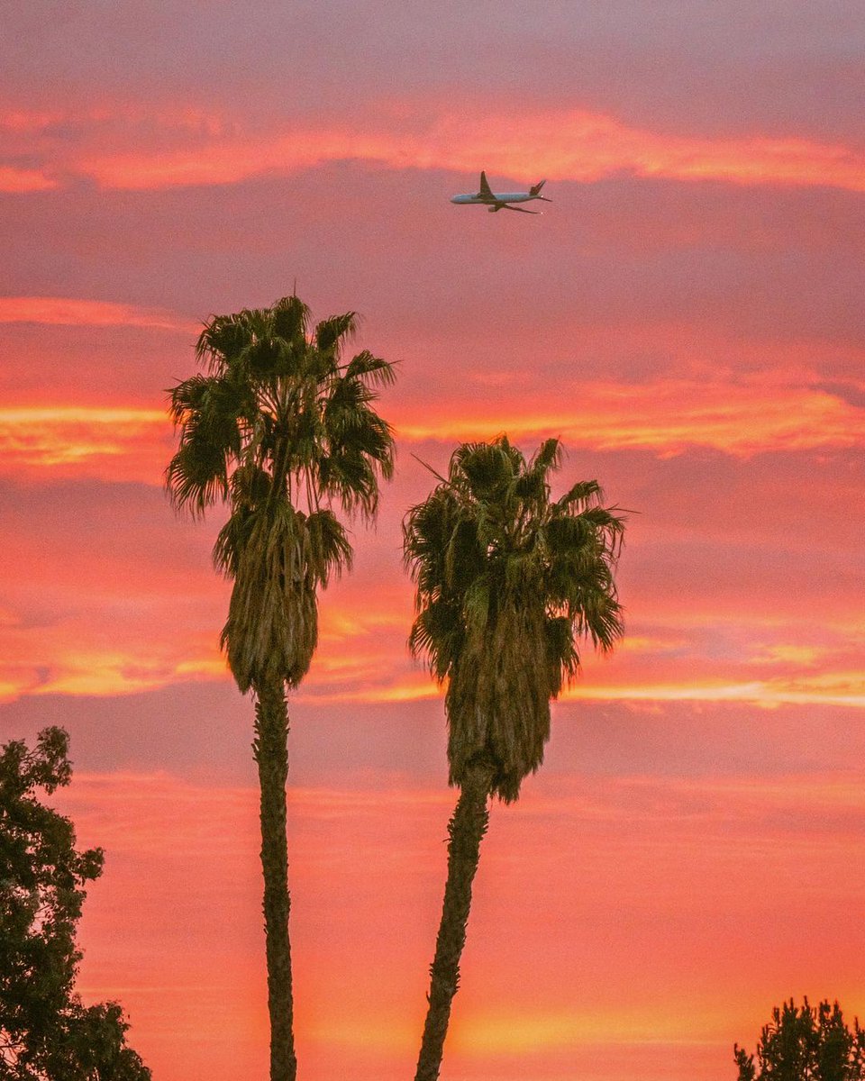 Up, up and away. ✈️ 🌴 📸: @mileschatterji #discoverLA #MagicHour