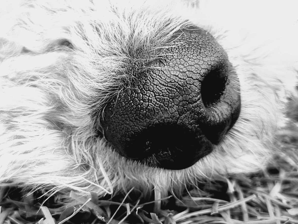 I’ve had to take some time out. I’ve had a close family member pass away and it all got a bit much to juggle even a smile. I’m better now and ready to face the world again. #ItsOkayToNotBeOkay