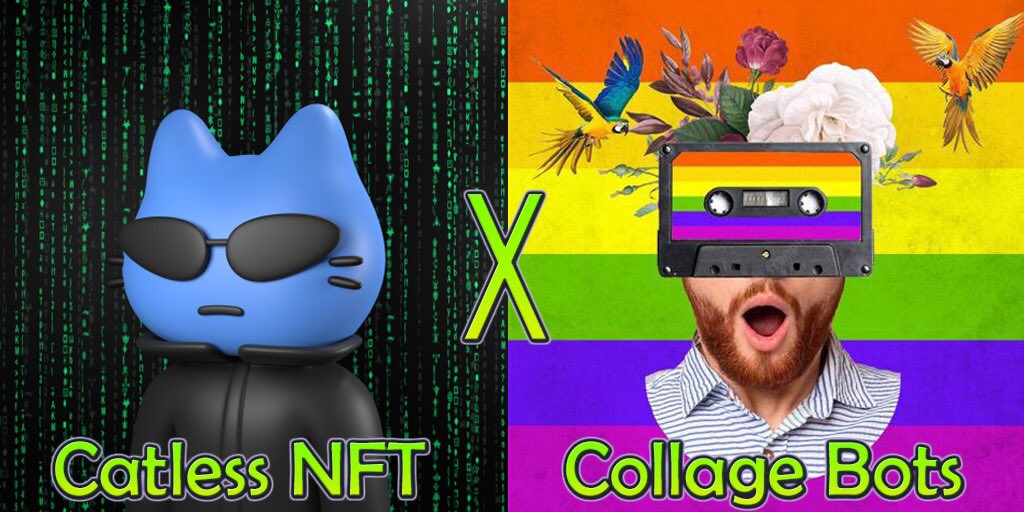 Catless😼 tweet media