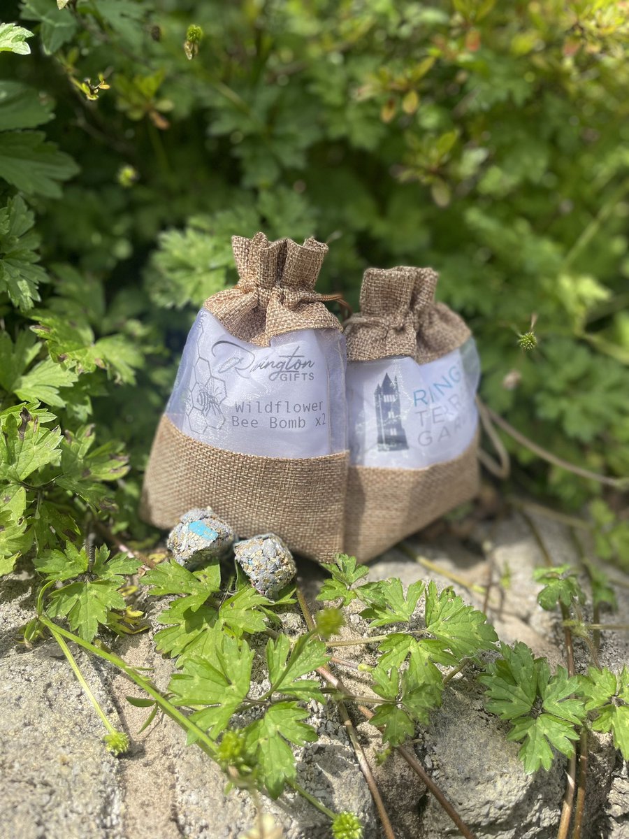 RivingtonGifts's tweet photo. 250 #beebombs made by hand for a #local #corporate in only 3 days! It’s been a push but will post full pictures tomorrow! #Sustainability #savethebees #savetheplanet #sustainablegift #carbonneutral #giftideas https://t.co/4GqRNz7fTT