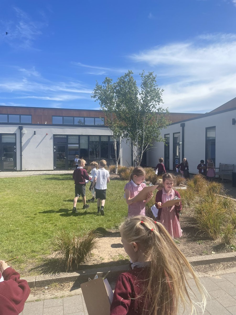 MissG_Mid's tweet photo. Today we made the most of the weather and took our learning outside. 🫶🏻😊🌞 @RoslinPS https://t.co/WTW0HPYHTz