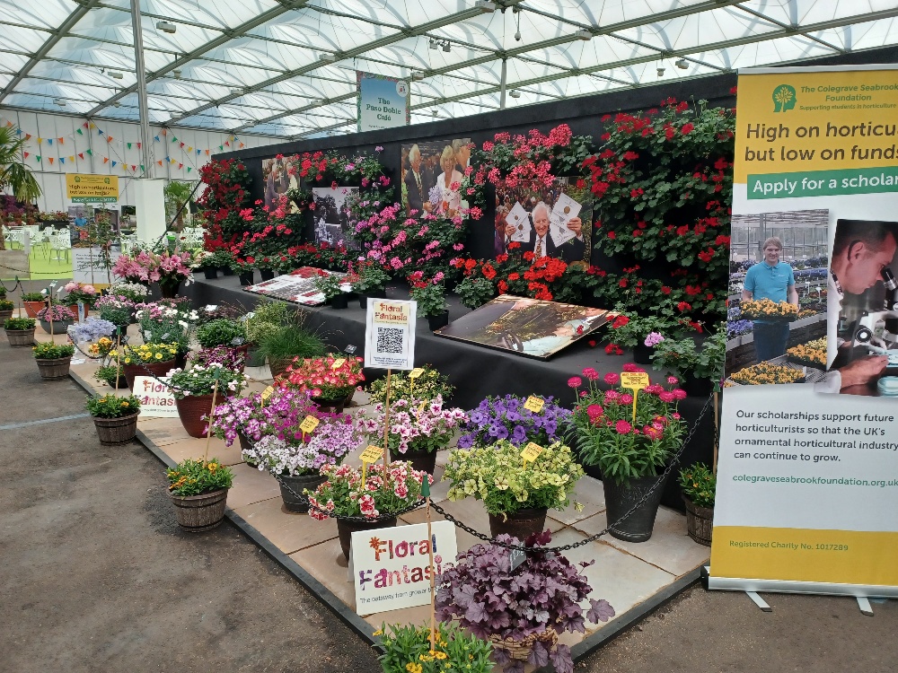 whetmanpinks's tweet photo. Our dianthus’ Electric Dreams® and Pink Celebration were chosen as part of a display of new plants on the Peter Seabrook tribute stand at last weeks BBC Gardeners World Live.

#WhetmanInternational #BBCGardenersWorldLive #DianthusElectricDreams #Dianthus #Whetmanpinks https://t.co/MY41fOH6Ob