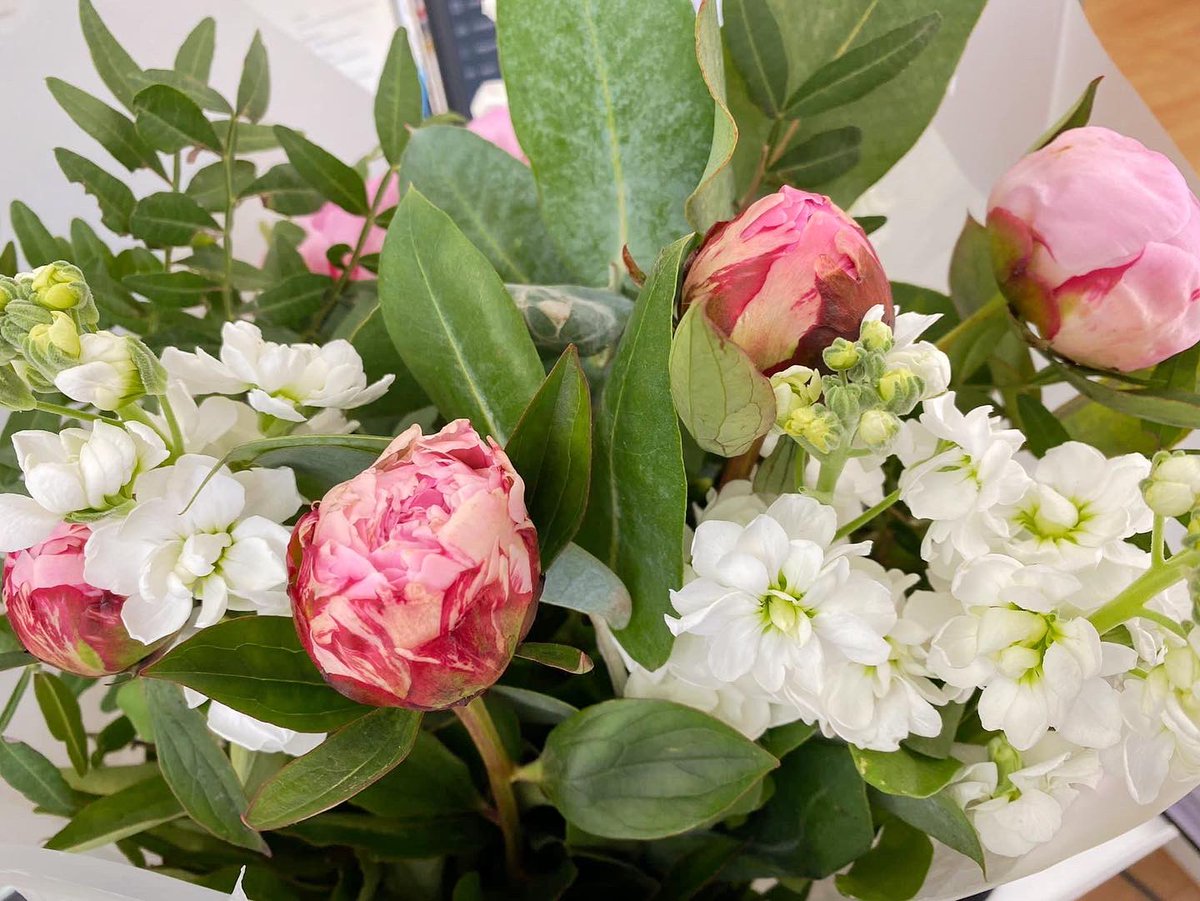 parkers_witney's tweet photo. It’s been a good Monday 😃

FOUR completions today! More treat boxes for our new homeowners! 🏡🥳🥂🍾

And a beautiful bunch of flowers for us from one of our lovely vendors! Thank you 😊

#completionday #goodiebox #newhome #movingday #estateagent #localpropertyexperts #property https://t.co/y1l4X0FbyQ