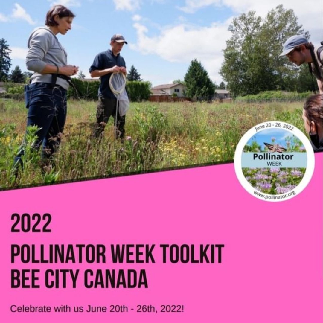 Bee City Canada (@BeeCityCanada) / Posts / X