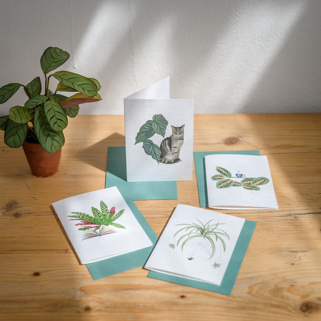 These cards are made from wildflower seed paper, handmade from cotton waste from the textile industry. And they come with recycled green envelopes. Available now 🪴💚 wearearcana.com

#houseplantsmakemehappy #houseplantaddict #houseplantlover #plantablepaper #seedcard