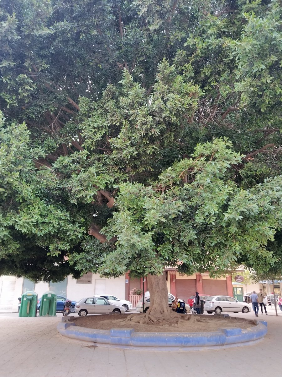 Noe Laso tweet media