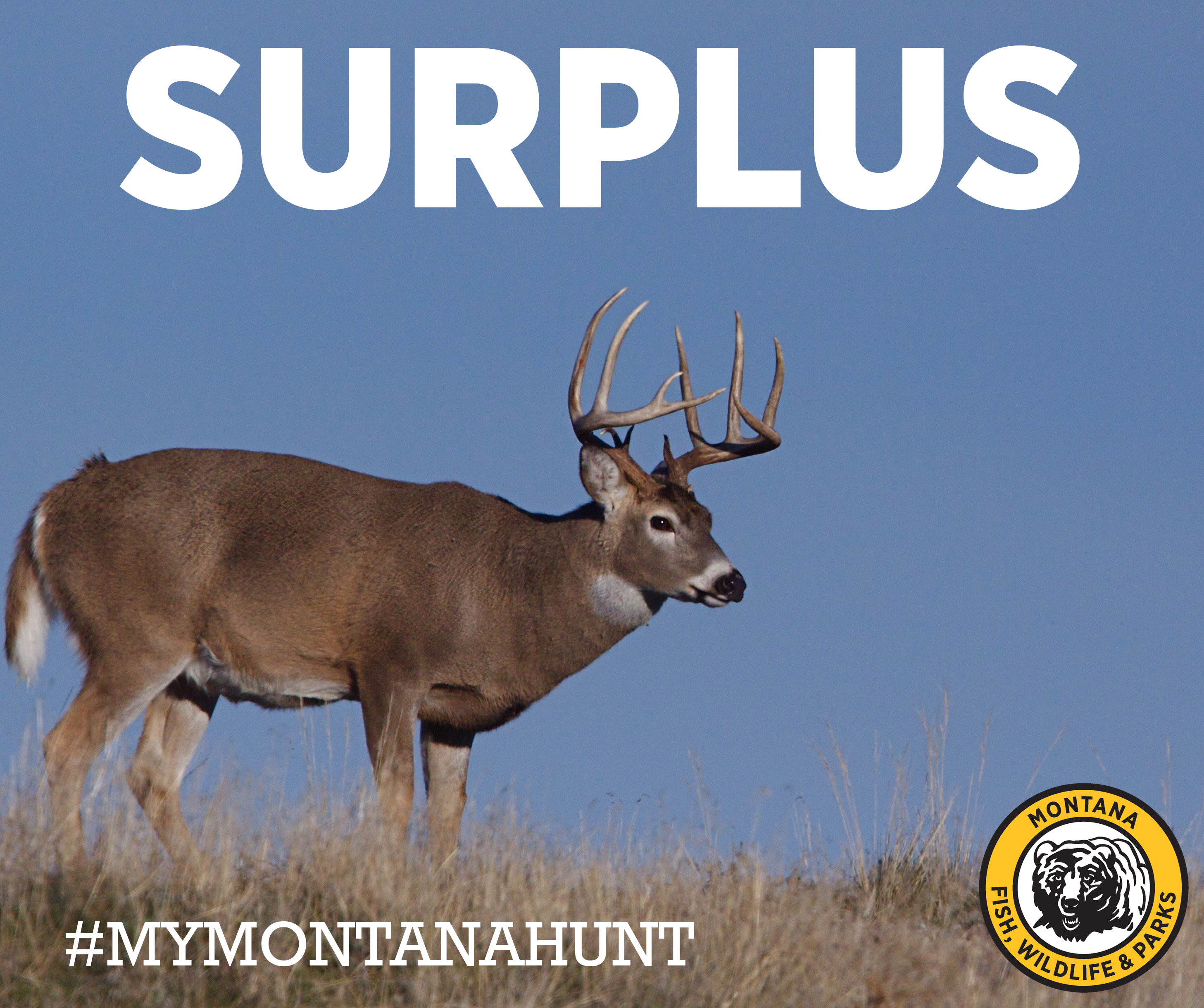Montana FWP on Twitter "Hunters interested in signing up for licenses