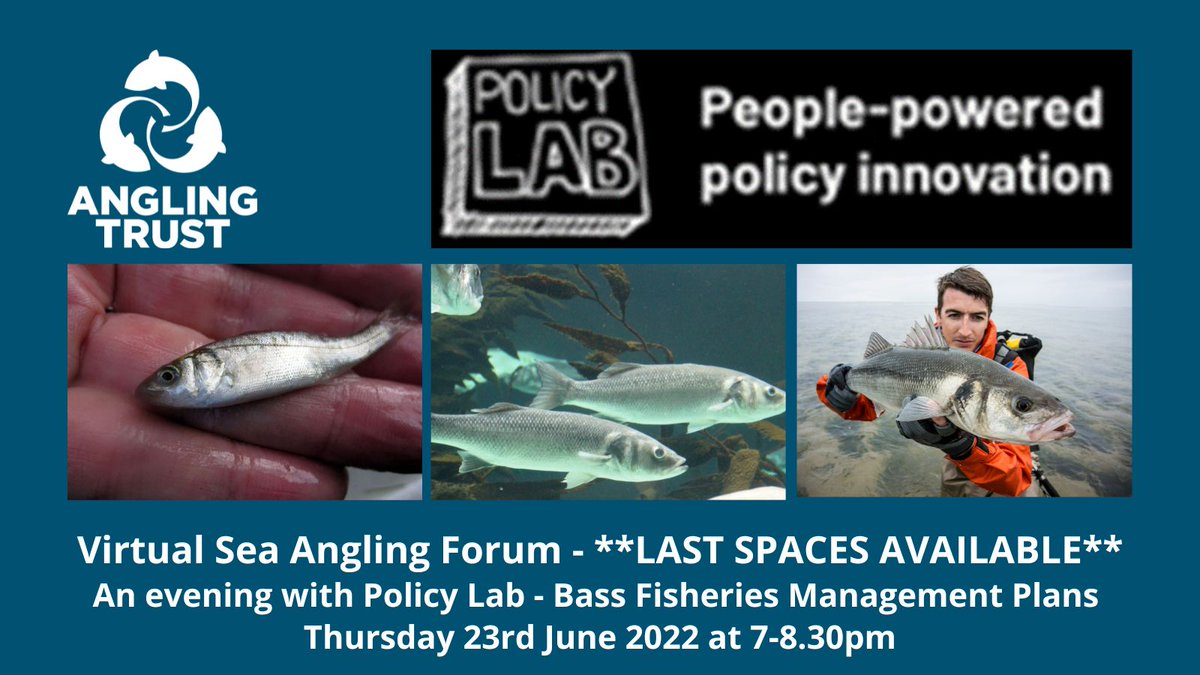 AnglingTrust's tweet photo. Sea Anglers - have your say on Bass Fisheries Management
Join us as we chat with Policy Lab who will be explaining their role in the new FMP for Bass scheduled for 2023. Register to find out how you can get involved with shaping it. Book your FREE place at https://t.co/T3w1iLvDCO https://t.co/7mSQMEh54a