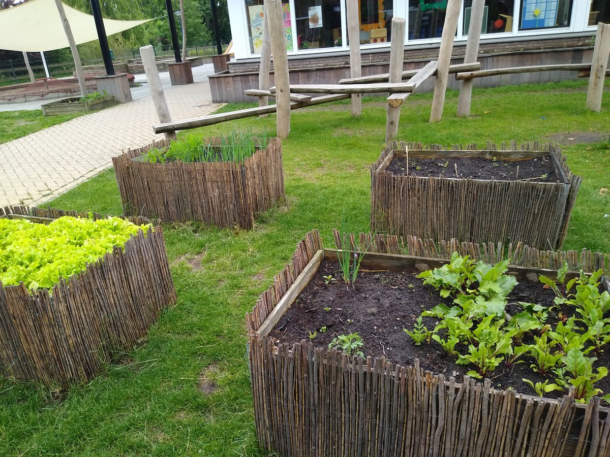 aanthofstra's tweet photo. De kroppen slaad binne wol klear en de reade biten dogge it ek goed. Moai skoalpleinprojekt bij de Opslach yn Wommels https://t.co/FVGg8a8o01