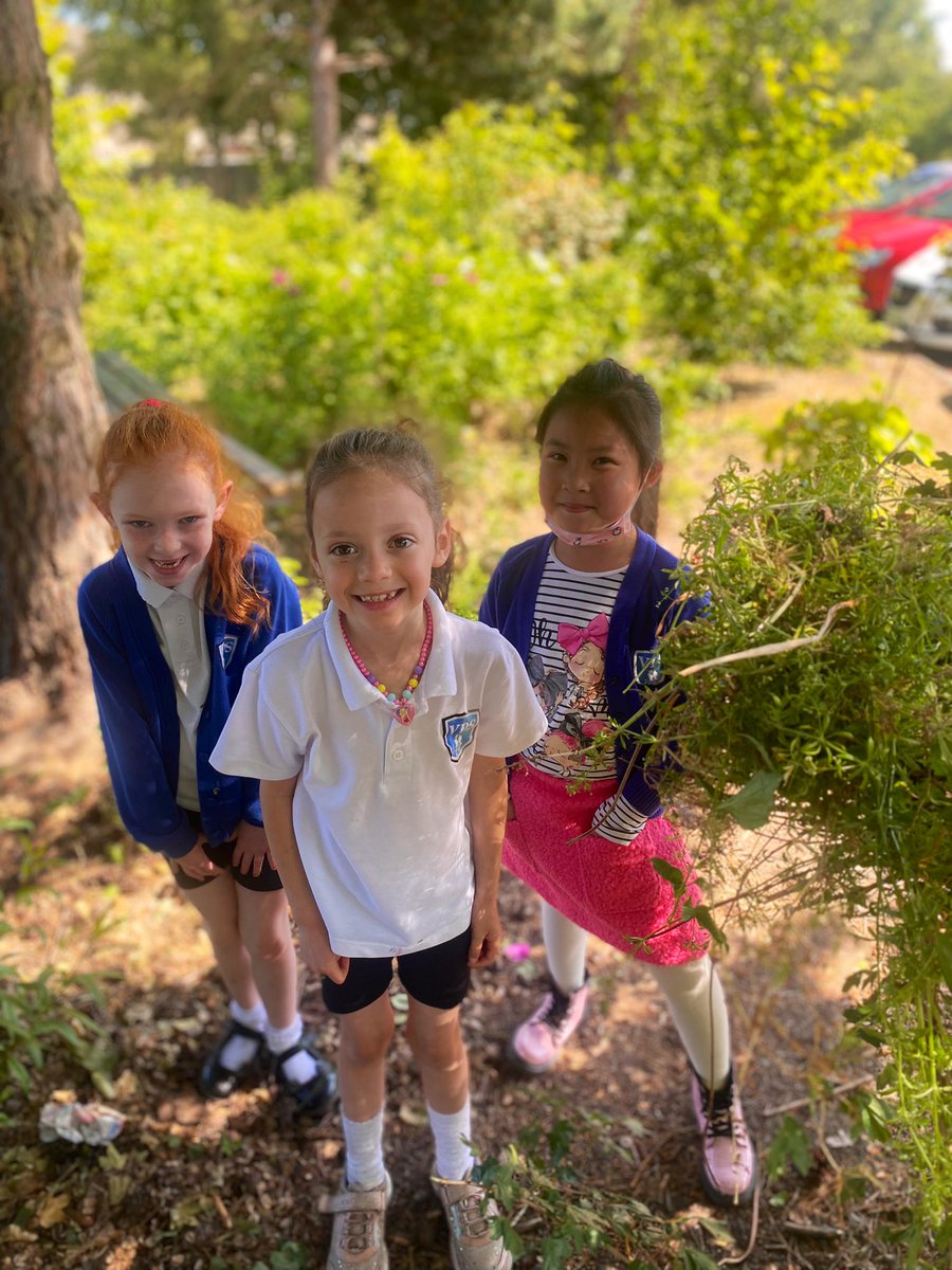 MissCleaver's tweet photo. 🐝We have been loving the @30DaysWild  challenges! So far we have learned about 🌳 and hugged one 🤗, enjoyed a 📚 outside, built a 🪲hotel, had a sensory walk and much more! 🦋#vpsstem https://t.co/nMrslPR269