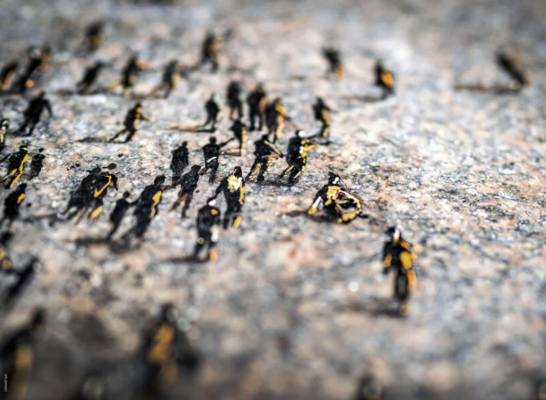 aDisenoMX's tweet photo. Diminutas figuras dibujadas por PEJAC como BIENVENIDA en Aberdeen para apoyar a las personas marginadas. https://t.co/r0FGWMEPw3
