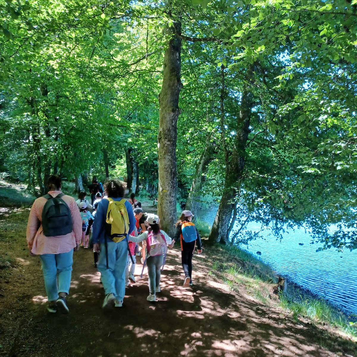 PoleChartreuse's tweet image. Belle balade au Lac du Bouchet pour les élèves de l&apos;école Ste Thérèse, à la découverte du volcanisme de notre département et de ses beaux paysages.