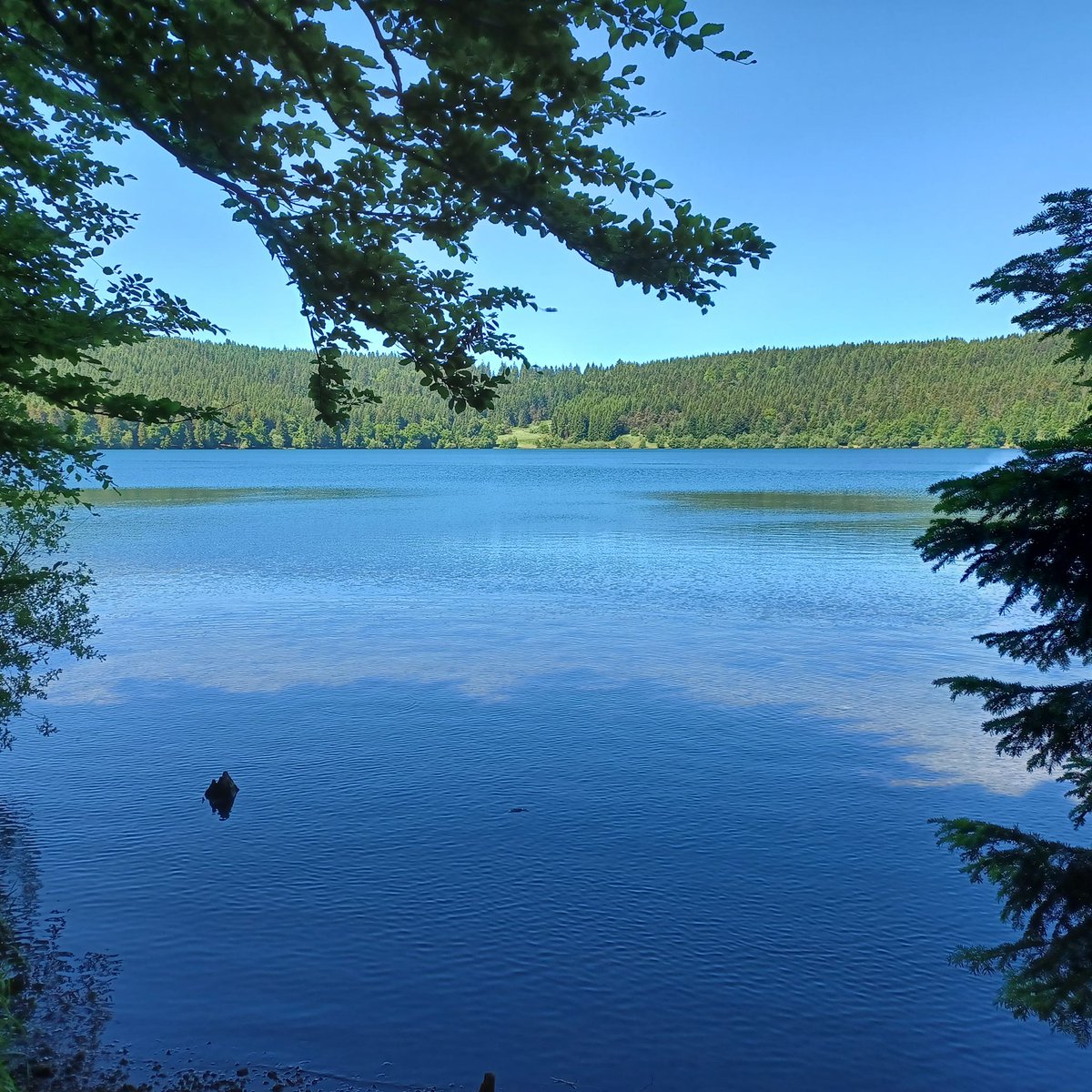 PoleChartreuse's tweet image. Belle balade au Lac du Bouchet pour les élèves de l&apos;école Ste Thérèse, à la découverte du volcanisme de notre département et de ses beaux paysages.