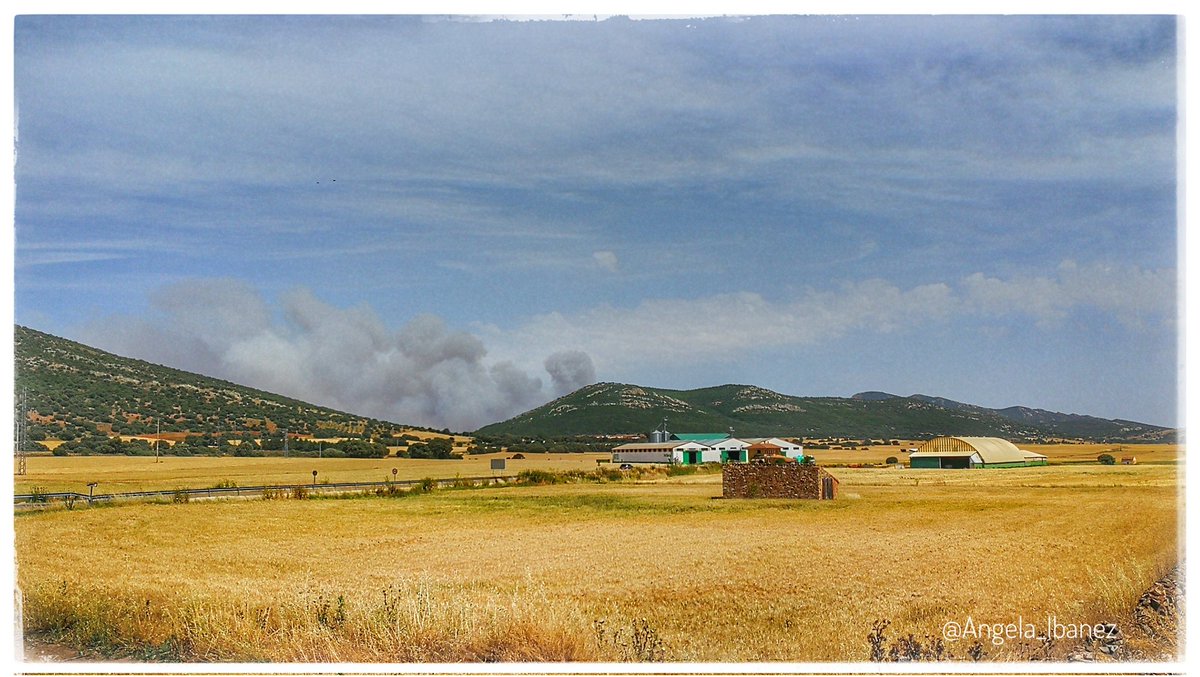 Angela_Ibanez's tweet photo. Desde #TierrasAltas #Used se ve #humo #incendio que afecta a la #sierra en #ValdeSanMartín y #CastejóndeTornos. Un gran #vendabal dificulta la labor a los equipos. @BrifDaroca #bomberos #despoblación #naturaleza #monte #agricultura #sostenibilidad #olacalor #prevención #fuego https://t.co/BOYGZFe2aS