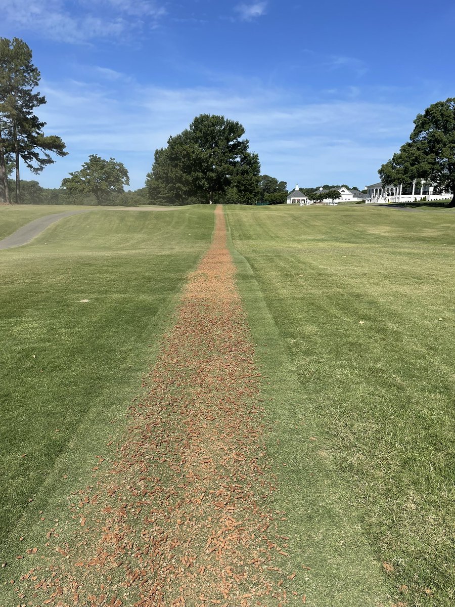 Tim Carpenter, CGCS (@gcc_agronomy) on Twitter photo Cultural practices on all short cut Bermuda beginning today - verticut fairways with Wiedenmann followed by blow, cross cut, blow, circle cut - tees, walk paths, collars and approaches getting aerification - amendments and topdressing to follow <a href="/GastonCC1919/">Gaston Country Club</a> <a href="/wiedenmannusa/">Wiedenmann North America</a> Cultural practices on all short cut Bermuda beginning today - verticut fairways with Wiedenmann followed by blow, cross cut, blow, circle cut - tees, walk paths, collars and approaches getting aerification - amendments and topdressing to follow <a href="/GastonCC1919/">Gaston Country Club</a> <a href="/wiedenmannusa/">Wiedenmann North America</a>