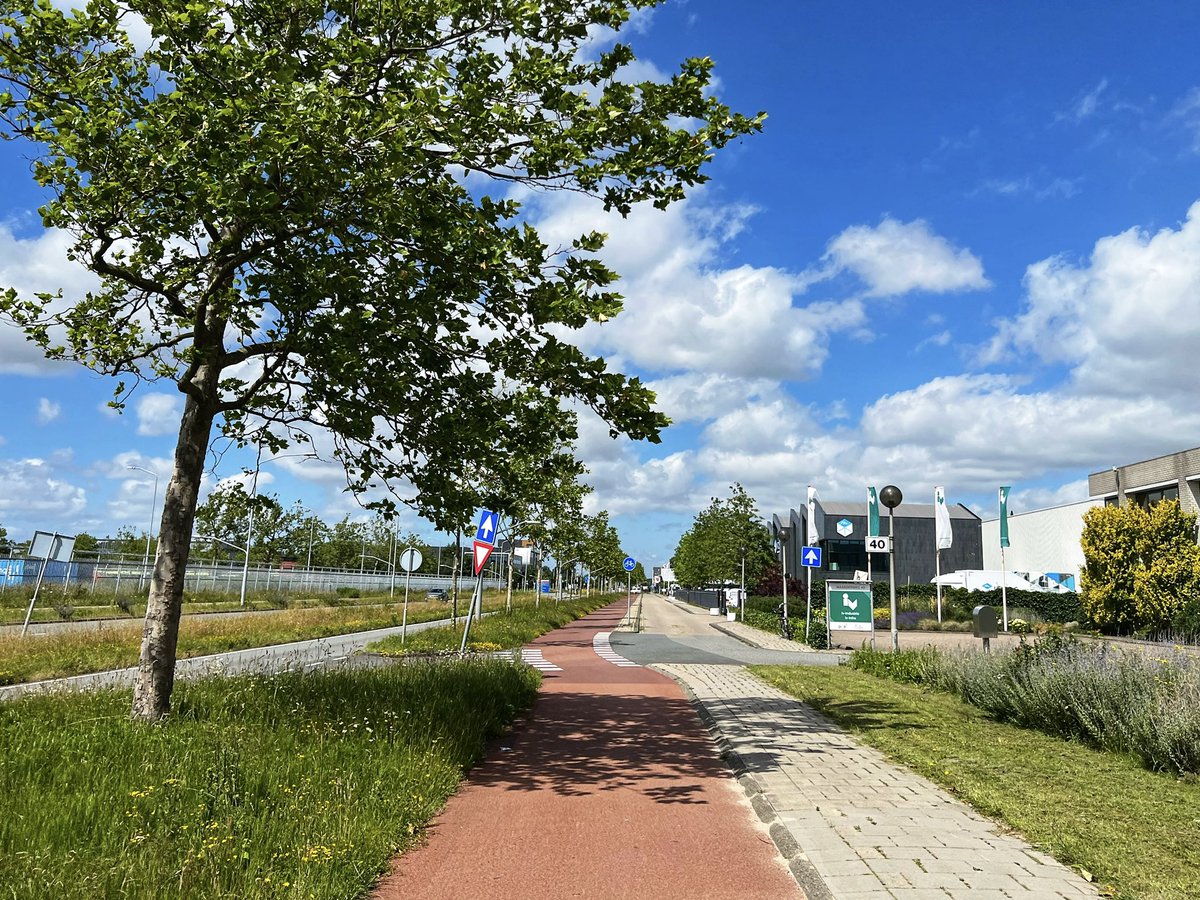 I was asked to see how the Dutch do bike lanes in industrial zones and—guys—this is better than the shit we have in the city.