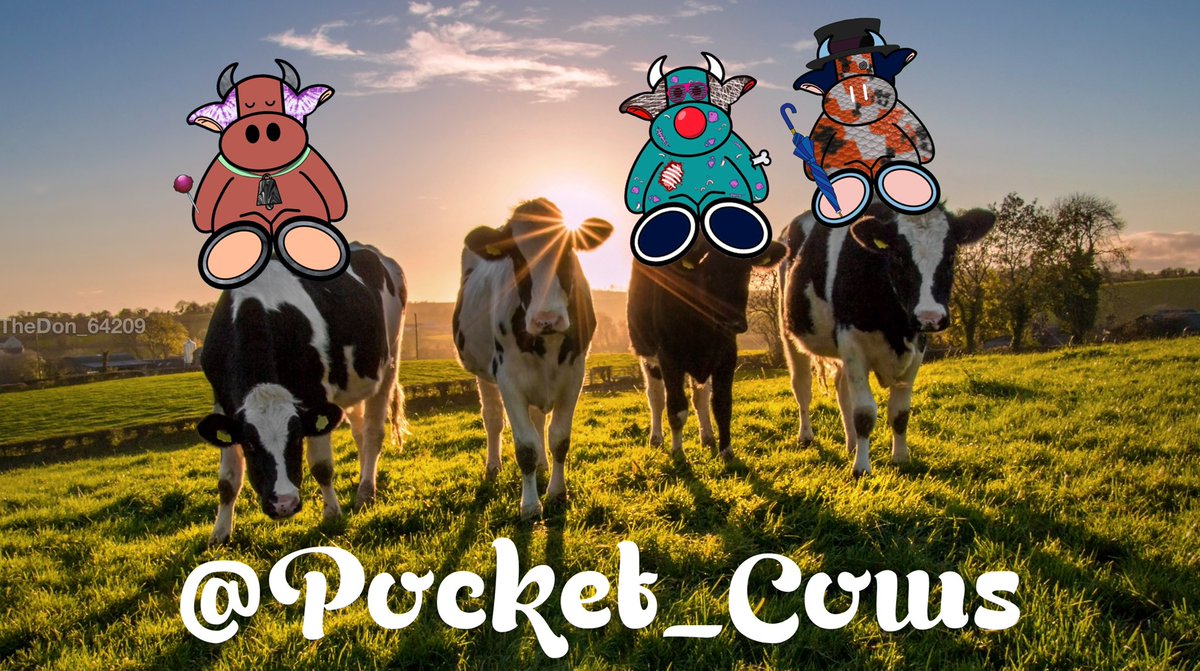 TheDon_64209's tweet photo. What it moooo!? @Pocket_Cows
Mint is live!
#MooGang #Mootivated #PocketCows https://t.co/iKTPW0uaQj