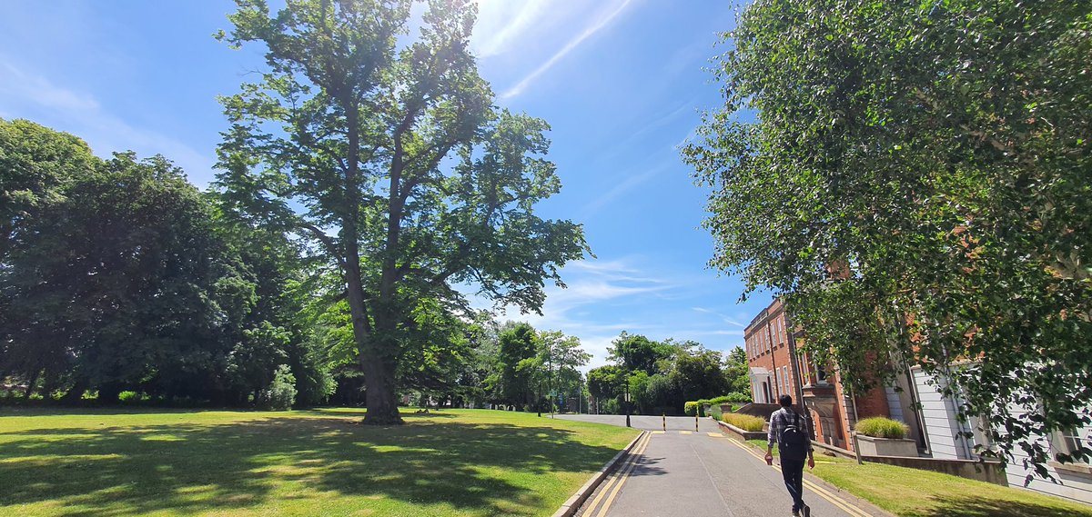 Sundas Hussain tweet media