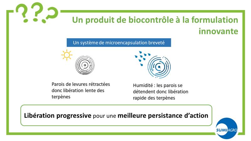 SumiAgroFrance's tweet photo. Depuis 25 ans, SumiAgro participe au développement du #biocontrôle sur toutes les cultures.
Aujourd’hui, on vous parle d’innovation contre les maladies de conservation des pommes avec une nouvelle formulation. Pour la voir en vidéo : https://t.co/XqiZ9GKrXQ

#ceuxquifontlesfruits https://t.co/zsQquTnrc3