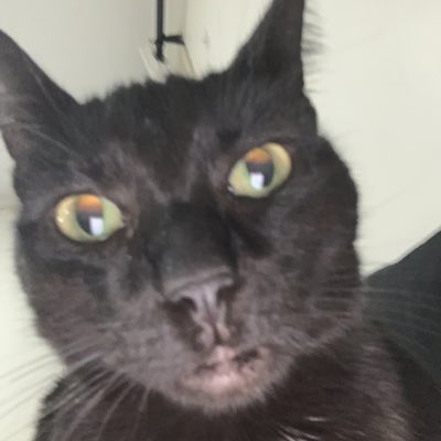 Anne13M's tweet photo. #NewProfilePic https://t.co/reCRqDfFUh
