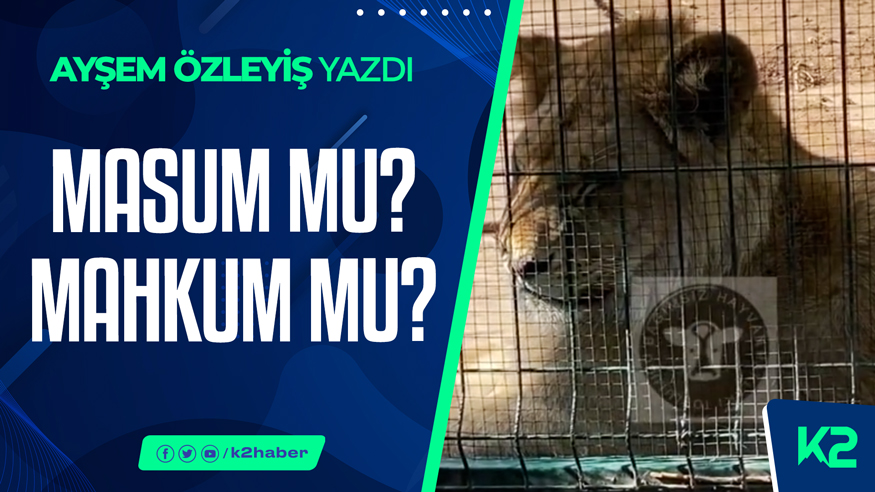 K2 TV (@k2haber) on Twitter photo ✏️ Ayşem Özleyiş yazdı:
📌 "Kapıdaki büyük tabelayı (#AslanDiyarı) görmesek, ev gibi bir yere geldiğimizi düşünürdük. Daha kapıda, yakın çevrede bir hayvan ölüsü olduğunu size düşündüren, ağır bir kokuyla karşılaşıyorsunuz..."
<a href="/AysemOzleyis/">Ayşem Özleyiş Oğuz 🌱</a>
🔗k2haber.com.tr/masum-mu-mahku… ✏️ Ayşem Özleyiş yazdı:
📌 "Kapıdaki büyük tabelayı (#AslanDiyarı) görmesek, ev gibi bir yere geldiğimizi düşünürdük. Daha kapıda, yakın çevrede bir hayvan ölüsü olduğunu size düşündüren, ağır bir kokuyla karşılaşıyorsunuz..."
<a href="/AysemOzleyis/">Ayşem Özleyiş Oğuz 🌱</a>
🔗k2haber.com.tr/masum-mu-mahku…