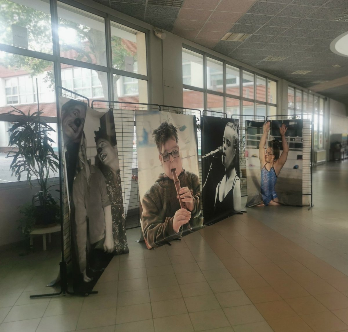 associationzicomatic tweet media