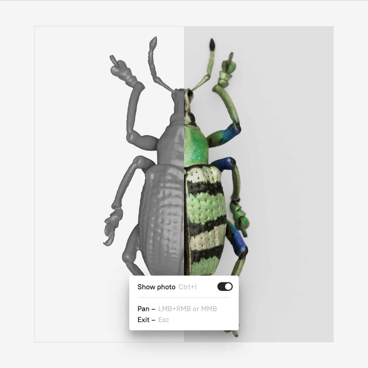 Ralf Steck tweet media