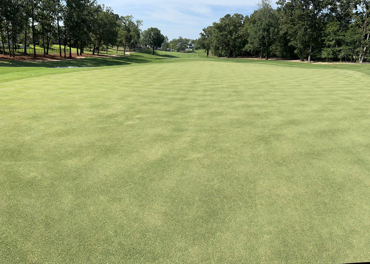 GrahamKornmeyer's tweet photo. First cut at .09”, surface is coming along great.  A couple weeks to go before opening day. https://t.co/9FbsDBt1yv
