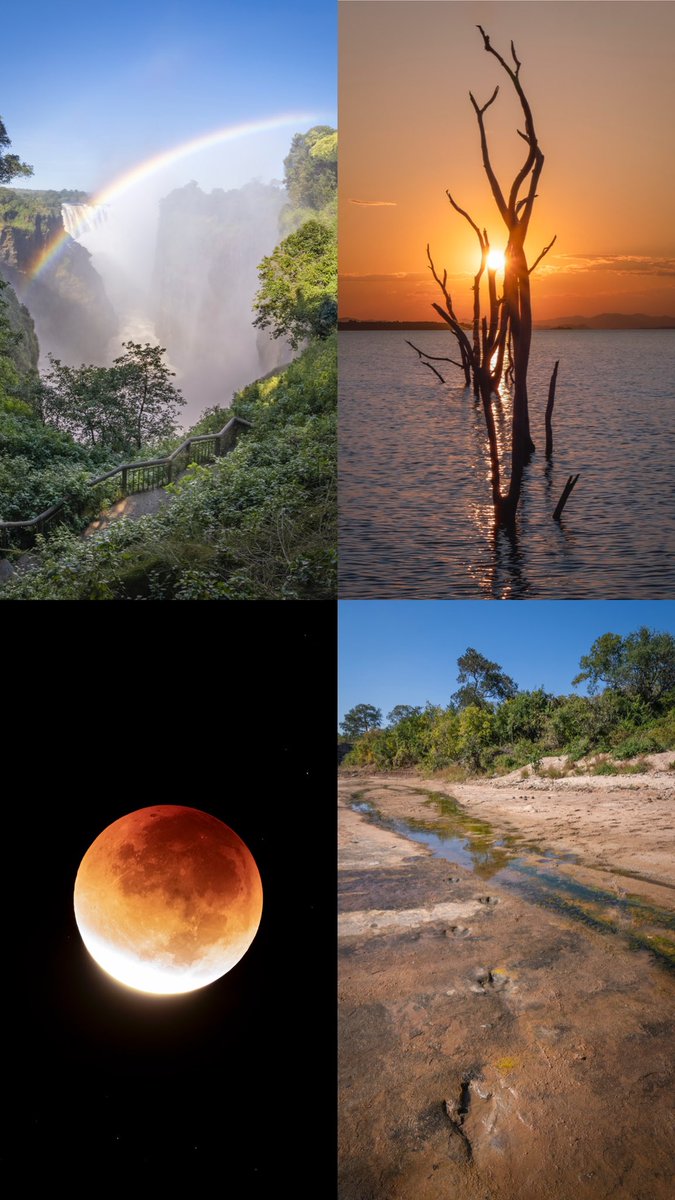 Dinosaur footprints, the lunar eclipse, a sunken forest, and the largest waterfall in the world? Read where I found all this in just 12 days here: theflore.com/blog-posts/202… #travel #travelblog