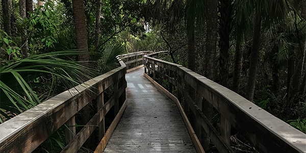 Friday: Wake Up and Wander with Us ✨ - mailchi.mp/creativemornin…