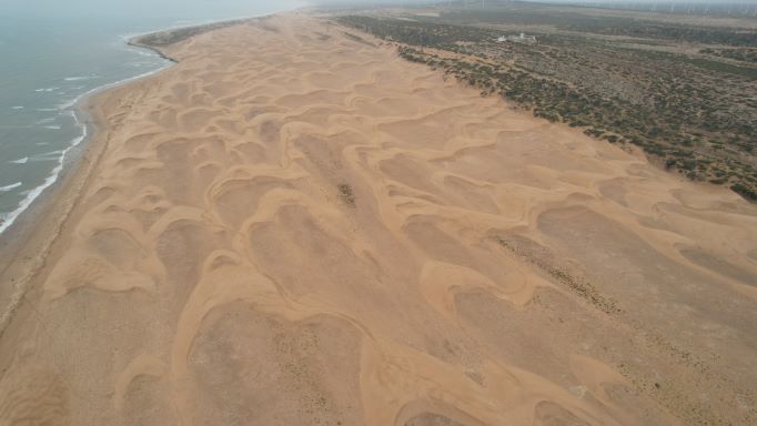 Andreas Baas tweet media