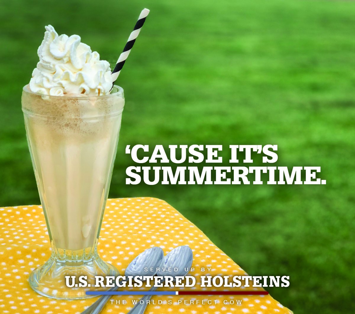 National vanilla milkshake day and almost the first day of summer? It doesn't get much better than that! 

#JuneDairyMonth #UndeniablyDairy