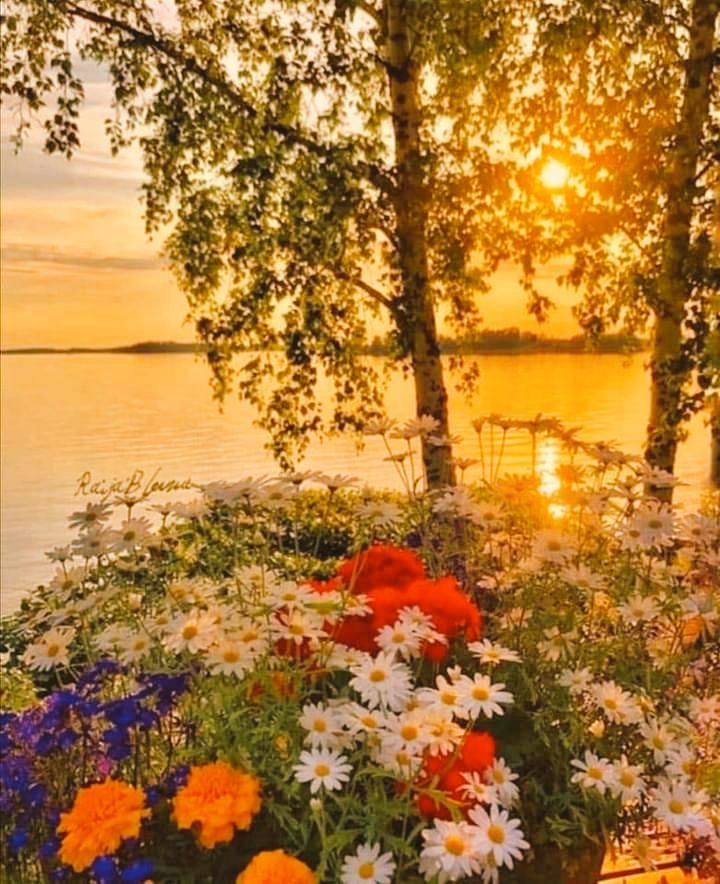 LConsolar's tweet photo. Gracias Padre por un nuevo día,enséñanos a esperar y confiar en Ti, sea tu mano quien nos sostenga y ayude, nuestra fortaleza cada mañana,nuestra salvación en tiempo de angustia. En el Nombre de Tu hijo Jesús.
Amén.
#legadodeacompañamiento
#duelo #viudez #viudos https://t.co/0lhwLQ2zo5