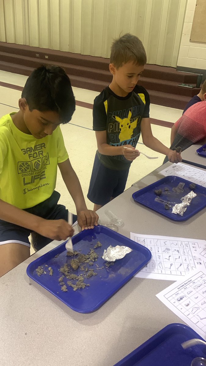 We got to explore owl pellets today! #STEAM2022MPS #Proud2bMPS