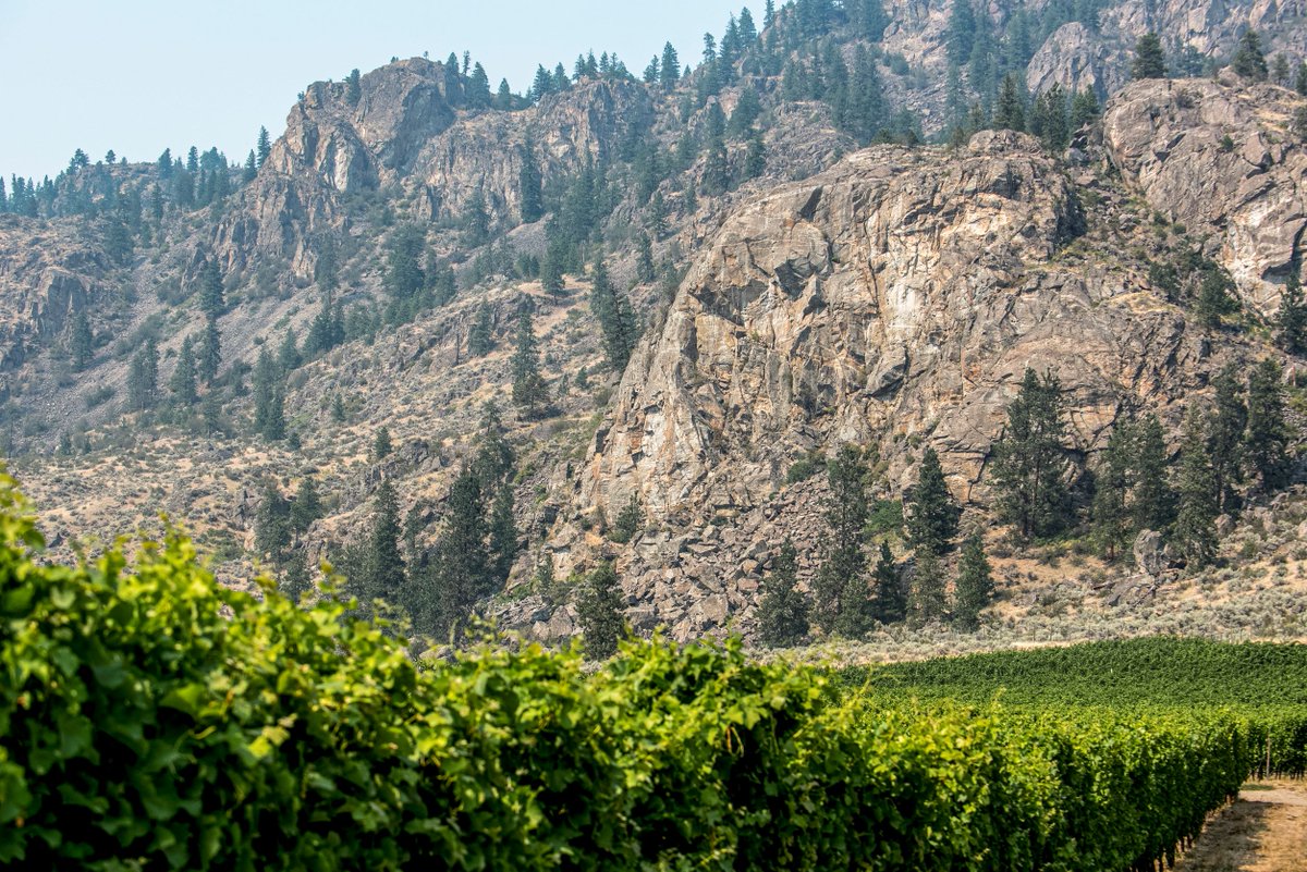 Nestled in the Okanagan Highland foothills of the Black Sage Bench just southeast of the town of Oliver lies Jagged Rock Vineyard. Our viticulturists describe the site as a near-perfect, self-contained micro-terroir with fine-grained and well-drained soil.