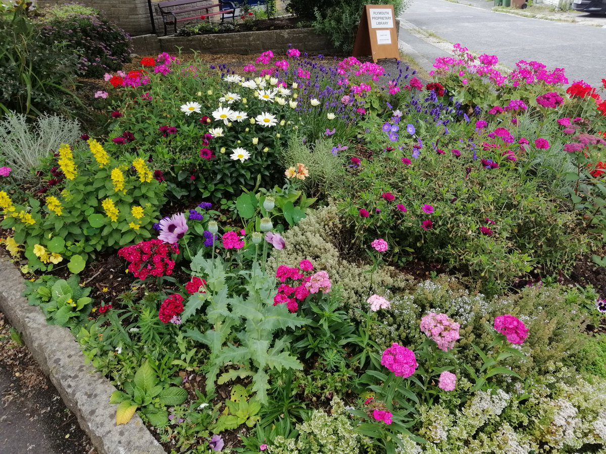 ThePPLuk's tweet photo. Many thanks to Janet, Jean and everyone involved with the planting and watering of the garden #librarygarden #plymouthlibraries #garden #librarygardens #indielibraries https://t.co/NkM0nSROCX