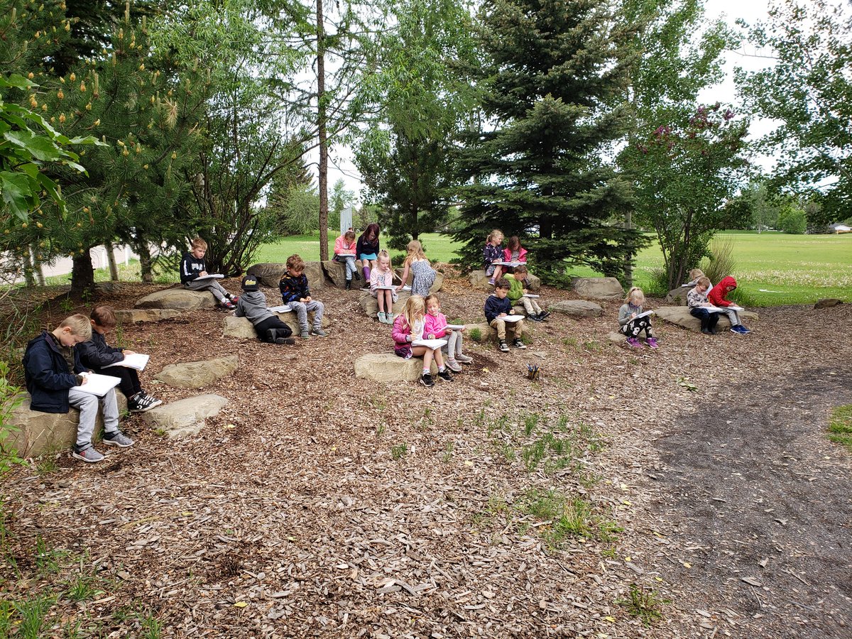 curious_kinder's tweet photo. Kinders are using our sit spots to draw our Pet Tree.🌳 #WeAreCBE https://t.co/SNoqqdD15P