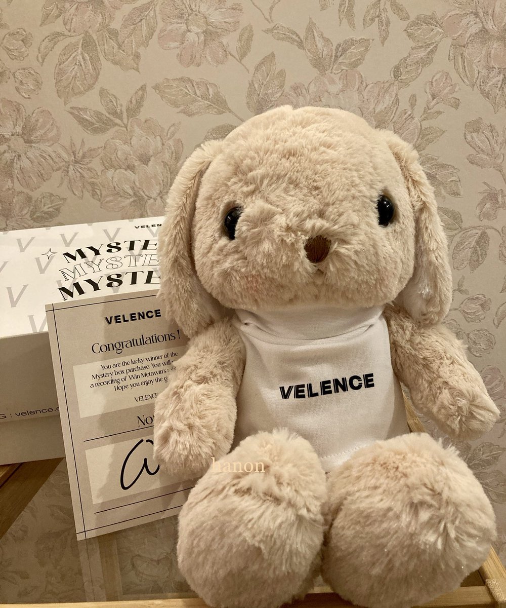 2枚で送料無料 VELENCE MYSTERY BOX/ Winmetawin Win | www.tegdarco.com