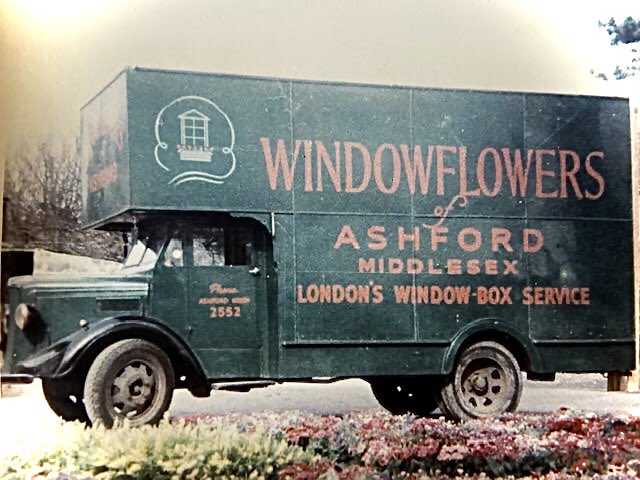 Windowflowers tweet media