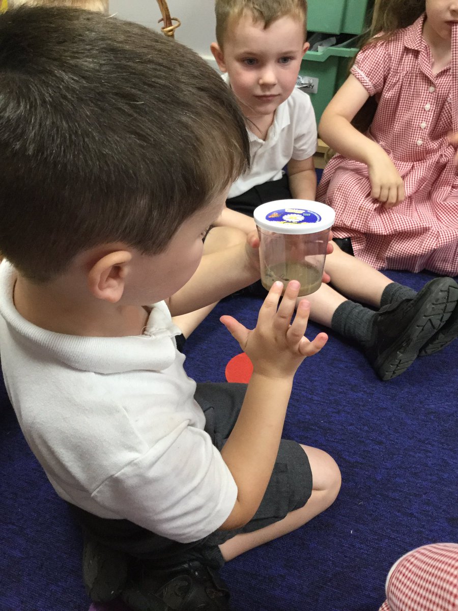 MD_Class1's tweet photo. Our special delivery has arrived!!!! 📮✉️📦 The caterpillars are here for us to observe, develop our knowledge about caterpillars and for us to learn about their lifecycle! We will post updates! For now we are watching them eat and wriggle. #MDScience #MDTopic @MD_MrsThompson https://t.co/gWRW4dKUtz