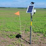 Photo by East Prairies Agronomy (@FE_EPrairies)